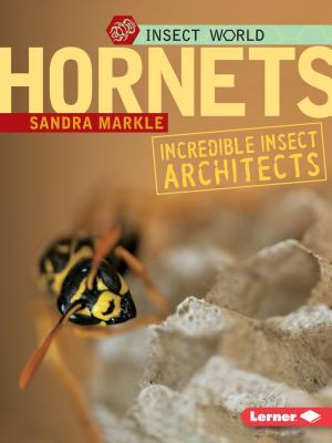 Coperta cărții 'Hornets: Incredible Insect Architects - Sandra Markle'