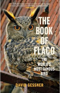 The Book of Flaco: The World's Most Famous Bird - David Gessner