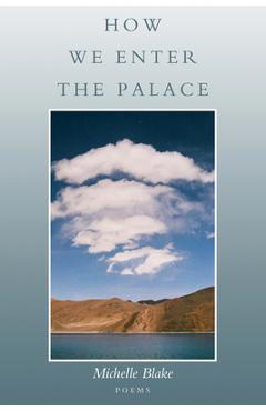 Coperta cărții 'How We Enter the Palace - Michelle Blake'