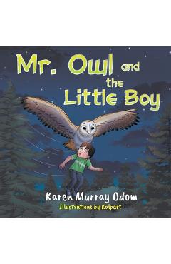 Coperta cărții 'Mr. Owl and the Little Boy - Karen Murray Odom'