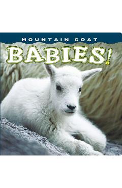 Coperta cărții 'Mountain Goat Babies! - Sumio Harada'
