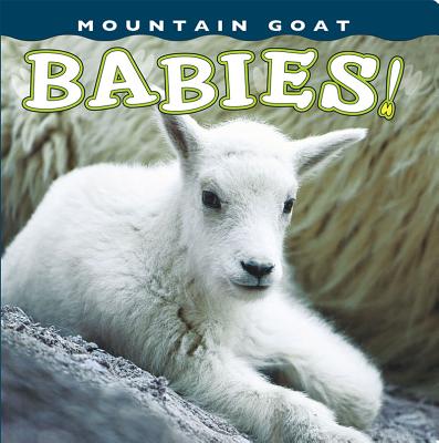 Coperta cărții 'Mountain Goat Babies! - Sumio Harada'