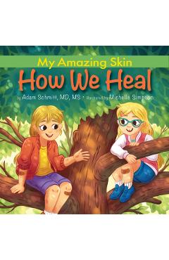 Coperta cărții 'How We Heal - Adam Schmitt'
