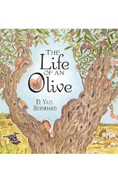 Coperta cărții 'The Life of an Olive - D. Yael Bernhard'