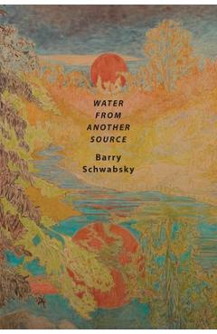 Coperta cărții 'Water from Another Source - Barry Schwabsky'
