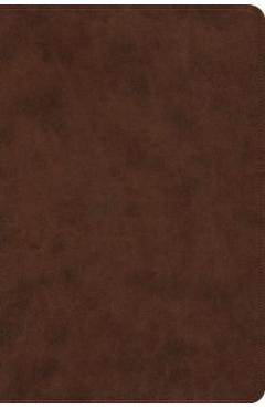 ESV Holy Bible: Dyslexia-Friendly Edition (Trutone, Brown) -