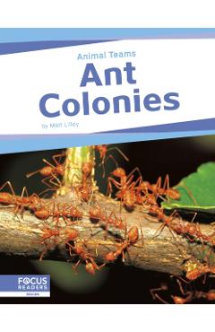 Coperta cărții 'Ant Colonies - Matt Lilley'