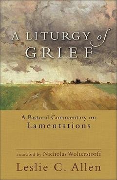 A Liturgy of Grief: A Pastoral Commentary on Lamentations - Leslie C. Allen