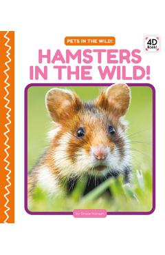 Hamsters in the Wild! - Grace Hansen
