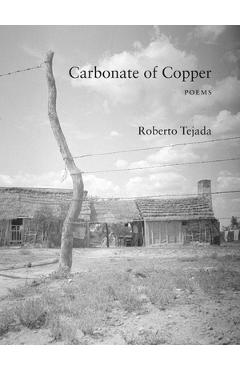 Coperta cărții 'Carbonate of Copper - Roberto Tejada'