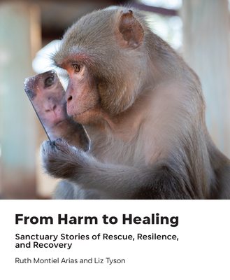 From Harm to Healing: Sanctuary Stories of Rescue, Resilience, and Recovery - Ruth Montiel Arias
