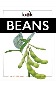 Coperta cărții 'Beans - Joe Tischler'