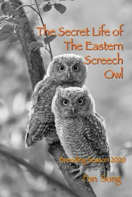 The Secret Life of Eastern Screech Owl: Breeding Season 2020 - 