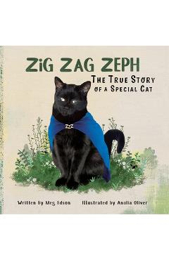 Coperta cărții 'Zig Zag Zeph - Meg Edson'
