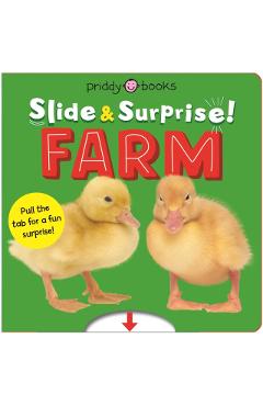 Farm (Slide & Surprise!): Pull the Tabs for a Fun Farm Surprise! - Roger Priddy