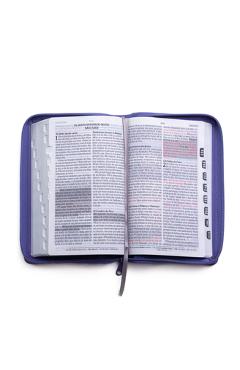 Coperta cărții 'Santa Biblia de Promesas Reina-Valera 1960 / Tamaño Manual / Letra Grande / Piel Especial Con Índice Y Cierre / Lavanda'