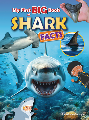 My First Big Book of Shark Facts - Belinda Gallagher