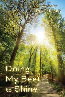 Doing My Best to Shine - David James