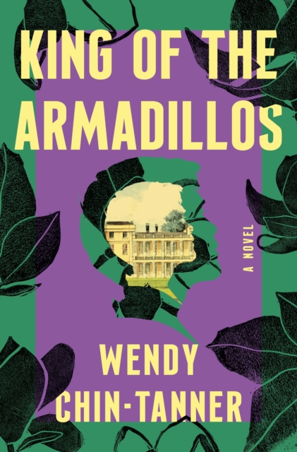 King of the Armadillos - Wendy Chin-tanner