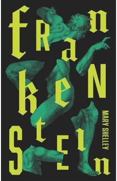 Frankenstein: Or the Modern Prometheus - Mary Shelley