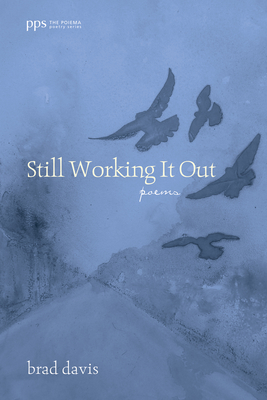 Still Working It Out - Brad Davis