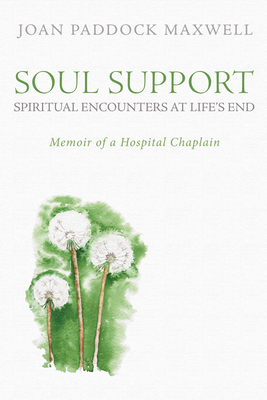 Soul Support: Spiritual Encounters at Life's End - Joan Paddock Maxwell