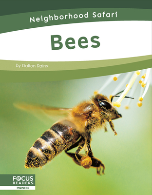 Bees - Dalton Rains