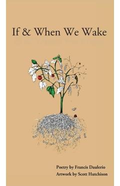 Coperta cărții 'If & When We Wake - Francis Daulerio'