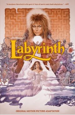 Poza produsului Jim Henson's Labyrinth Original Motion Picture Adaptation - Sid Jacobson