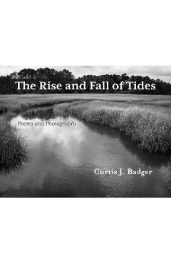 Coperta cărții 'The Rise and Fall of Tides - Curtis J. Badger'