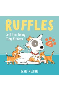 Poza produsului Ruffles and the Teeny, Tiny Kittens - David Melling