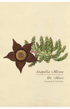 Stapelia Mixta -