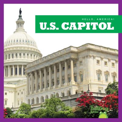 U.S. Capitol - Katherine Rawson