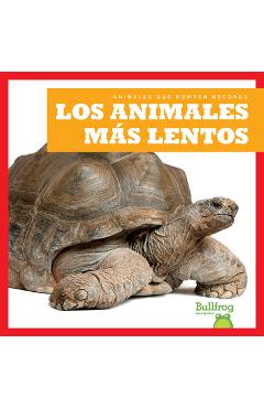 Coperta cărții 'Los Animales Más Lentos (Slowest Animals) - Lily Austen'
