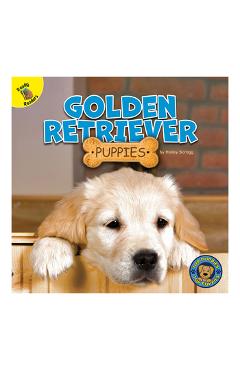 Coperta cărții 'Golden Retriever Puppies - Hailey Scragg'
