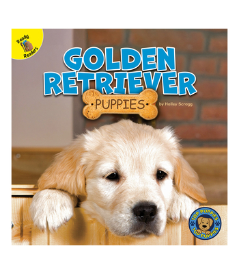 Golden Retriever Puppies - Hailey Scragg