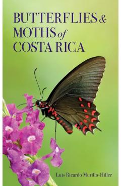 Butterflies and Moths of Costa Rica - Luis Ricardo Murillo-hiller