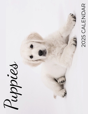 Puppies 2025 Calendar: 2025 Calendar - C. Maloney