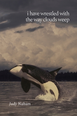 Coperta cărții 'i have wrestled with the way clouds weep - Judy Nahum'