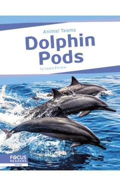 Poza produsului Dolphin Pods - Laura Perdew