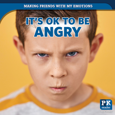 It's Ok to Be Angry - Theresa Emminizer