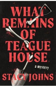 What Remains of Teague House: A Mystery - Stacy Johns
