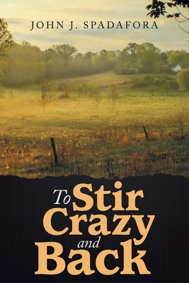 To Stir Crazy and Back - John J. Spadafora
