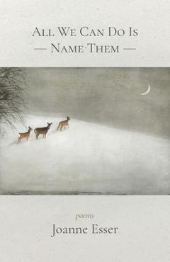 Coperta cărții 'All We Can Do Is Name Them - Joanne Esser'
