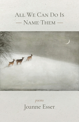 Coperta cărții 'All We Can Do Is Name Them - Joanne Esser'
