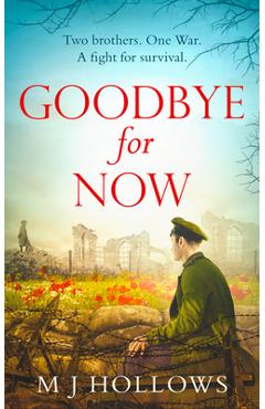 Coperta cărții 'Goodbye for Now - M. J. Hollows'