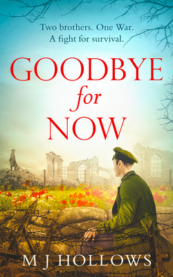 Coperta cărții 'Goodbye for Now - M. J. Hollows'
