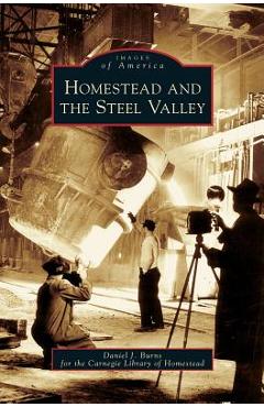 Coperta cărții 'Homestead and the Steel Valley - Daniel J. Burns'