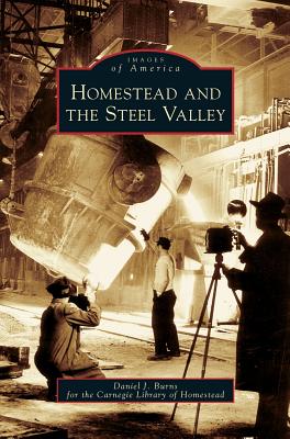 Coperta cărții 'Homestead and the Steel Valley - Daniel J. Burns'