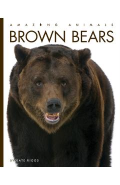 Coperta cărții 'Brown Bears - Kate Riggs'